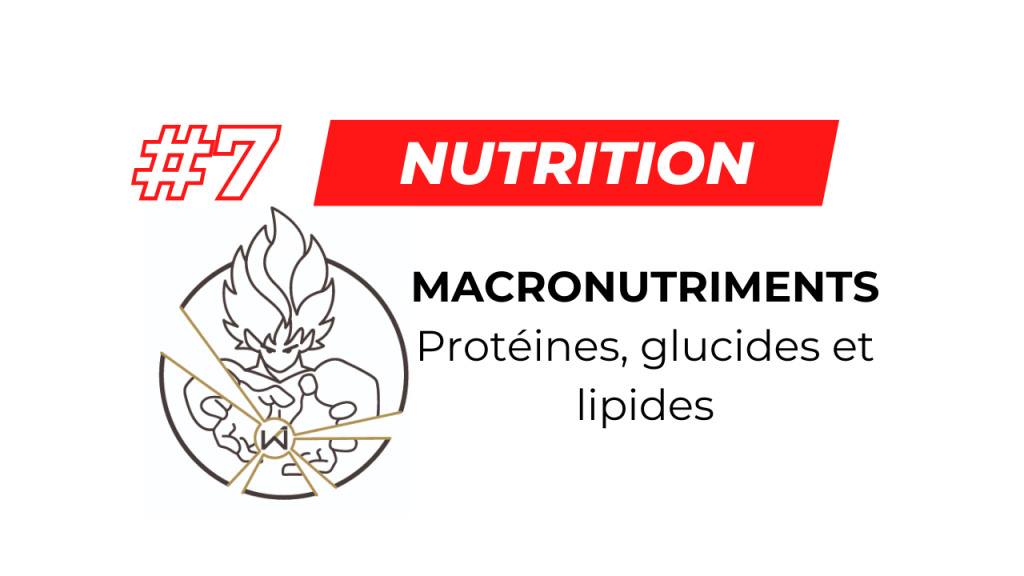 #7 – Nutrition et « MACRO » – Glucides, lipides et&nbsp;protéines