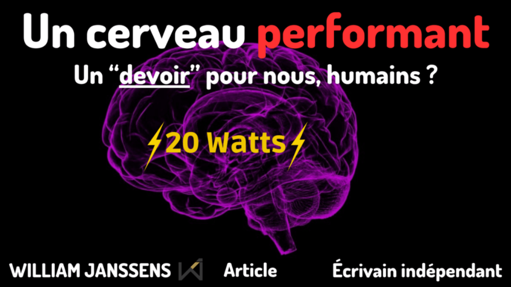 🍜Nutrition & cerveau 🧠 Partie&nbsp;1
